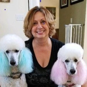 Meet your Posher, Eva